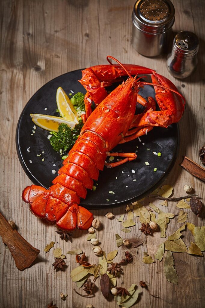 seafood, lobster, boston lobster, gourmet, dishes, vegetable, chinese food, cold dish, garnish, spices, lay out, food, lobster, lobster, lobster, lobster, lobster