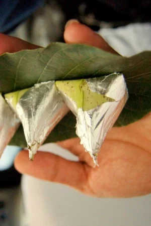 Best street food in Varanasi Paan